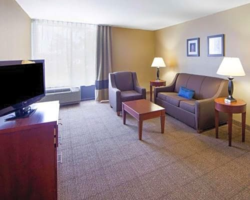 Comfort Inn & Suites Plano East