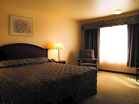 1 Bedroom King Suite
