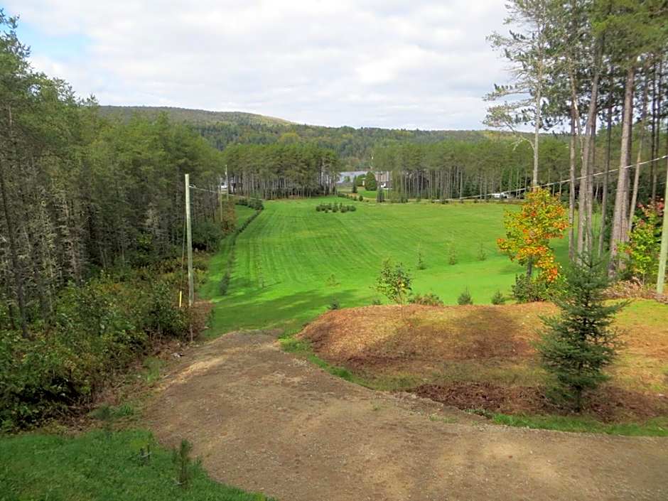 La maison sous les arbres