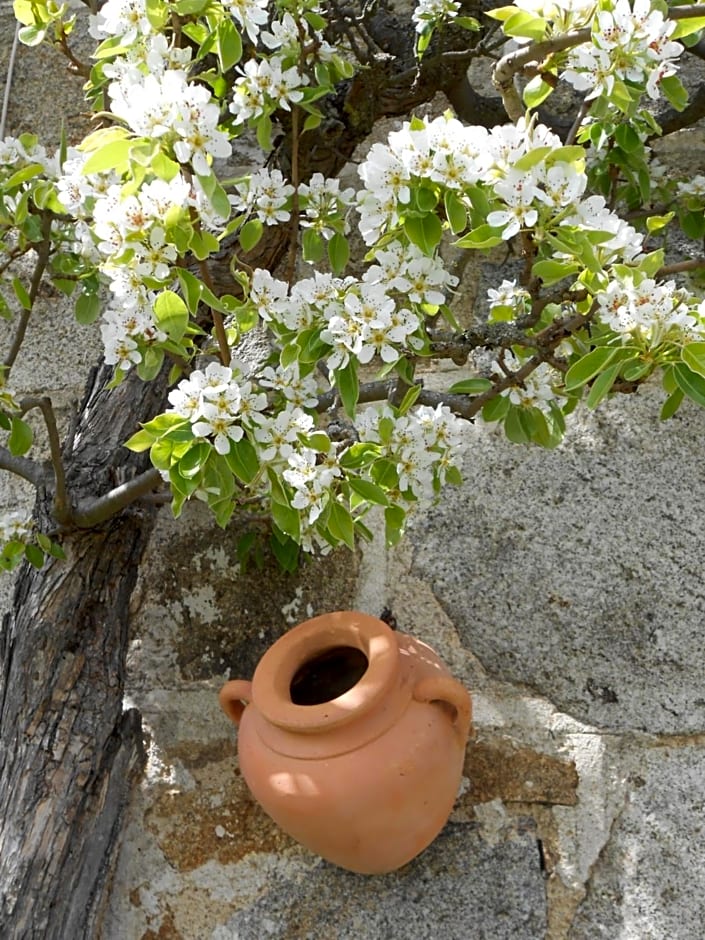 Chambre D'hôtes Myrtille