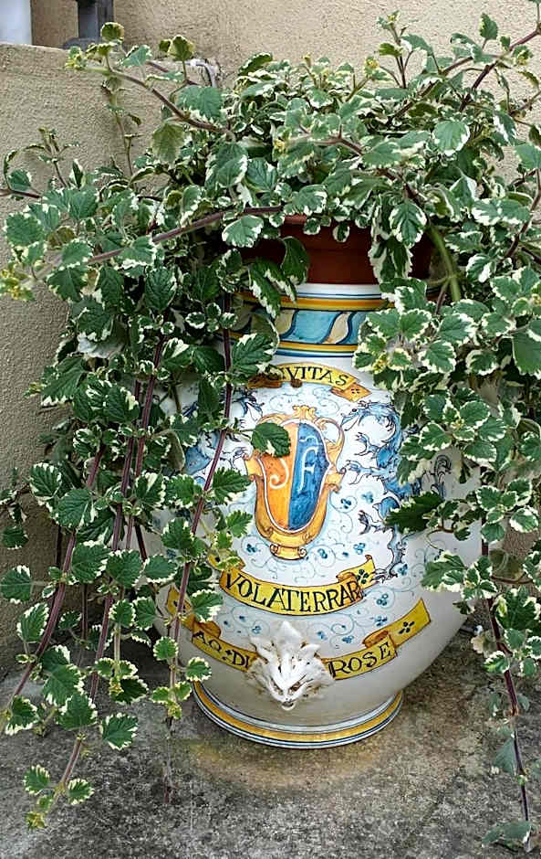 B&B Le Torri Di Firenze