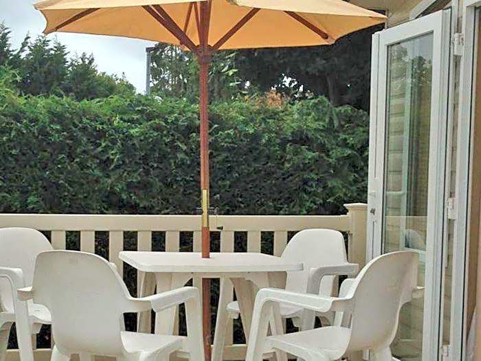 Hoburne park Bluebell10