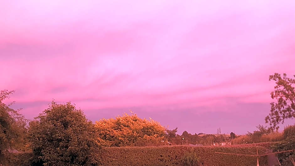 Century House B & B flatlette