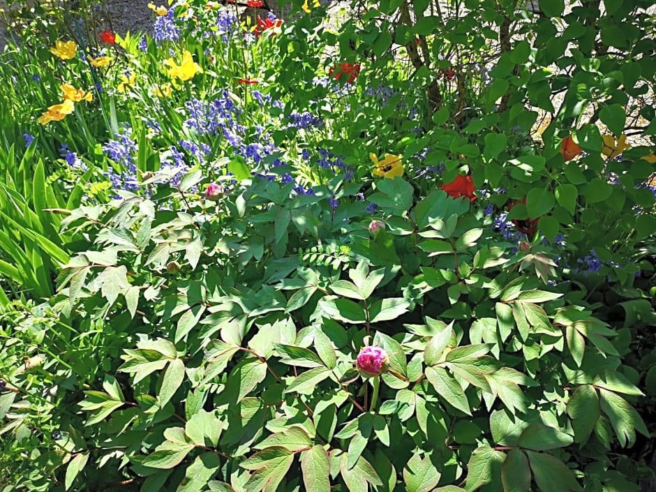La Malinette B&B, calme et authenticité