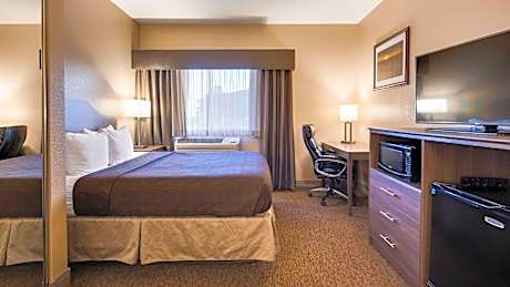 King Suite with Sofa Bed and Wet Bar