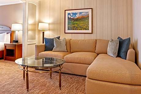 Garden Premium One King Bed