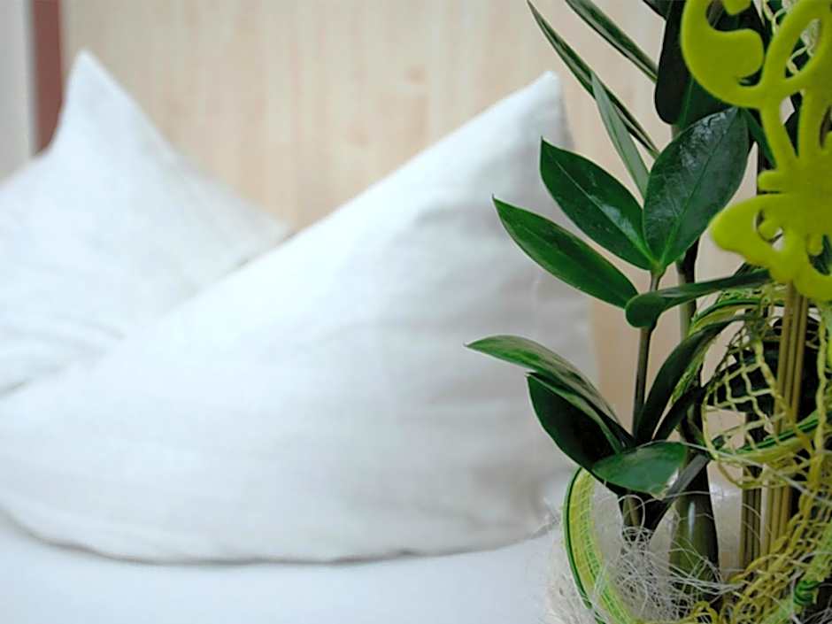 Land-gut Hotel zum Löwen Garni