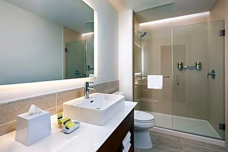 Premium, 1 Bedroom Suite, 1 King, Sofa bed