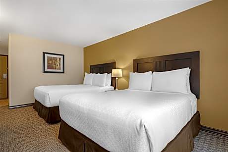 2 Queen Beds Non-Smoking First Floor No View Wi-Fi Pet Friendly Room