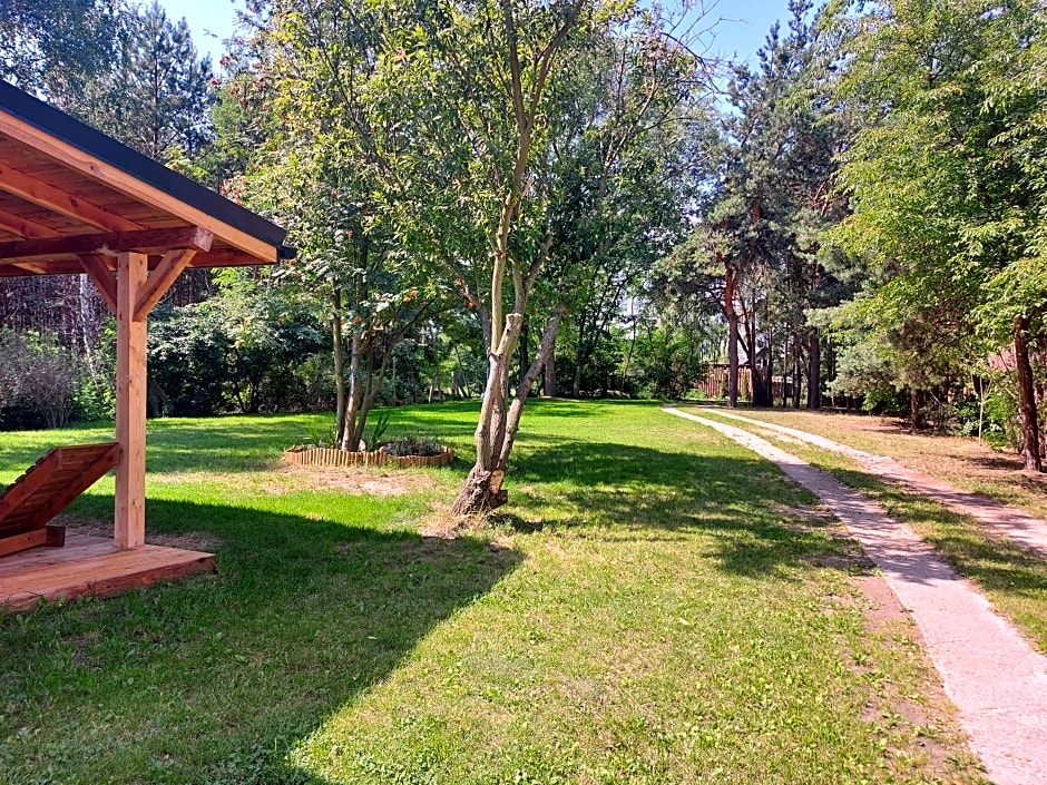 Dom imprezowy z noclegami Dziecinów