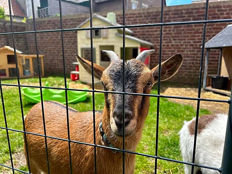 Hôtel et Appart 'hôtel Chez Gino ETAPLES-Le Touquet