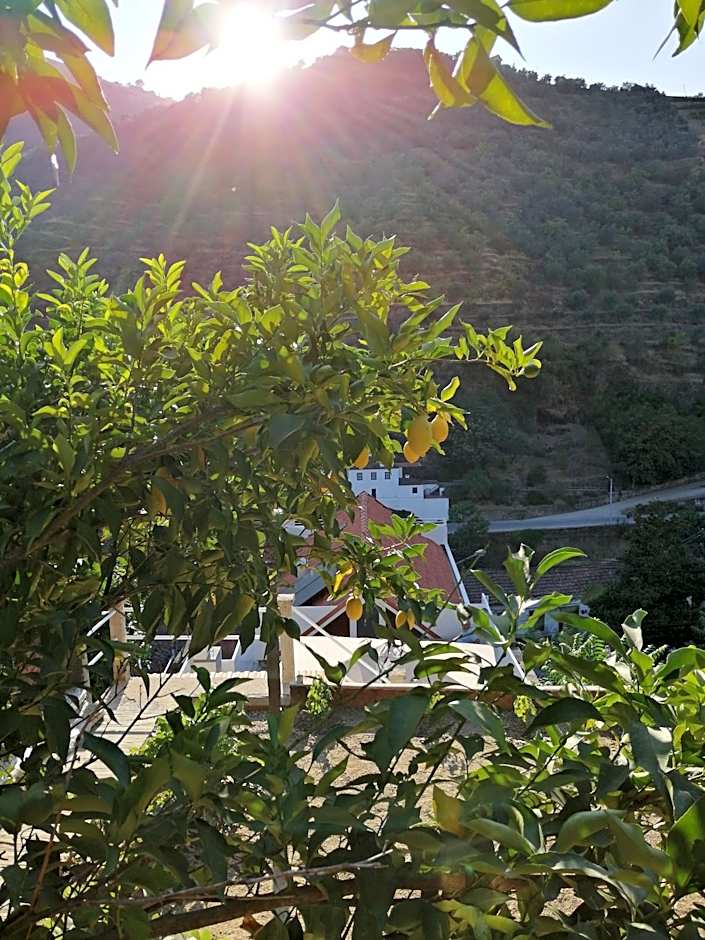 Hostel Douro Backpackers