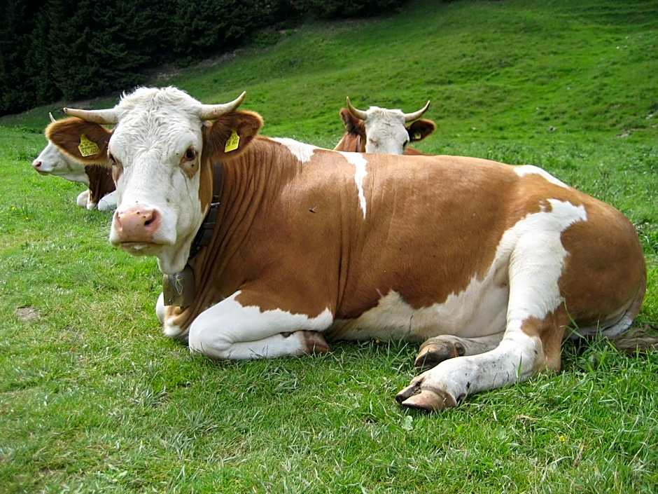 BLSV Sportcamp mitten im Wander- und Rad-Paradies