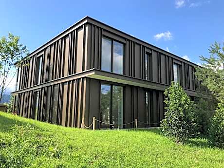 1 room studio in the interconnected apartment house (self-catering)