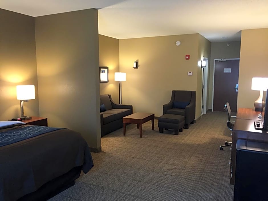 Comfort Inn & Suites Lynchburg