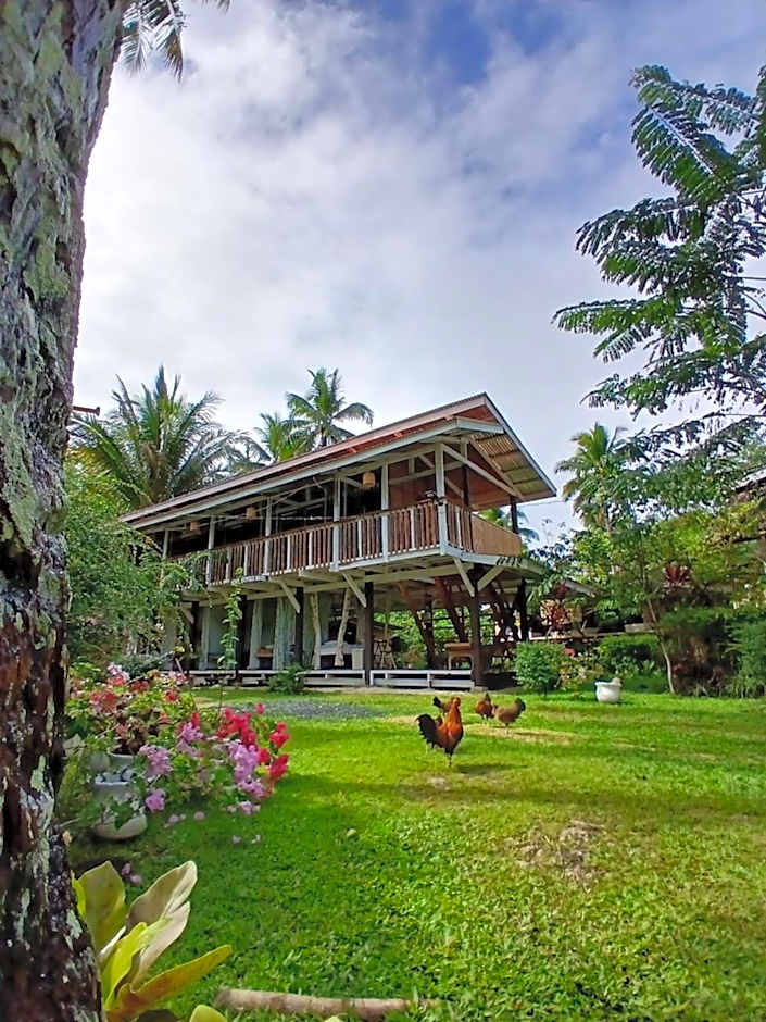 Bohol Hammock Hostel