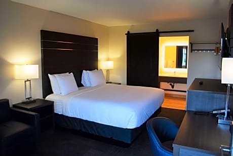 1 King Bed Non-Smoking