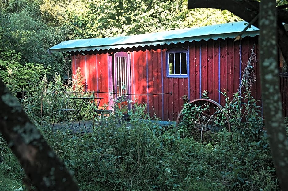 Les Cabanes Des Marais