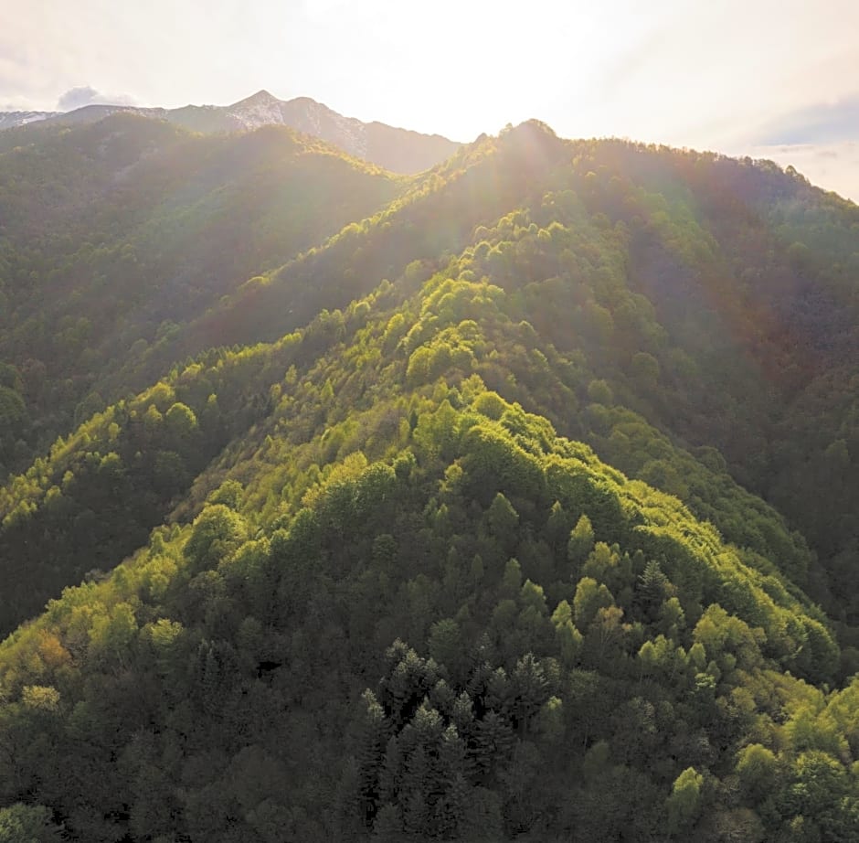 B&B IDUEVAGAMONDI immerso nel bosco tra le MONTAGNE con area benessere come EXTRA