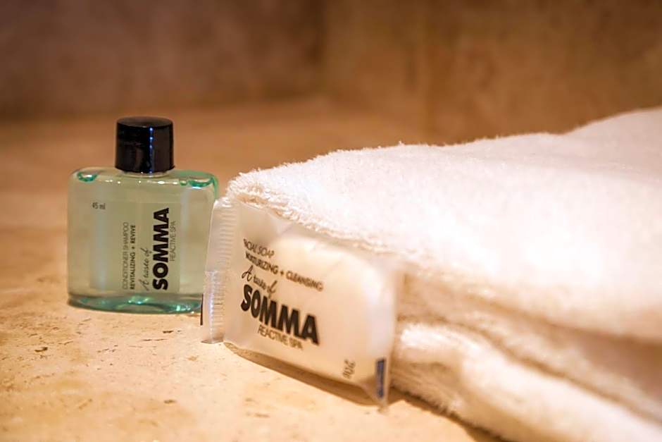 One Toluca Aeropuerto