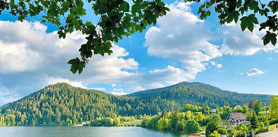Le Chalet au bord du lac