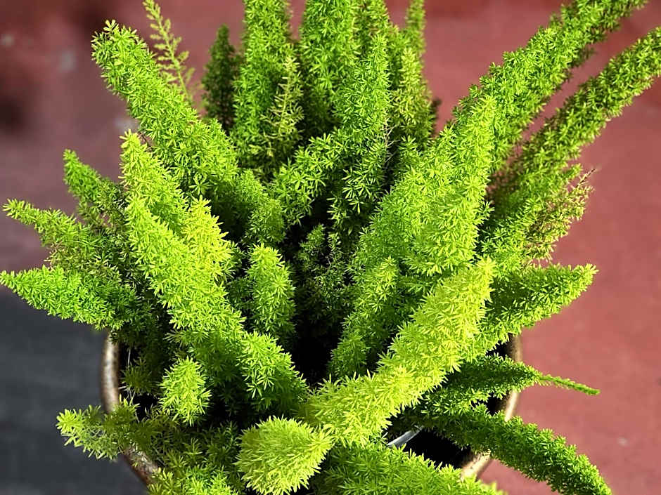 DAY N NIGHT INN - Near Universal Studios Hollywood