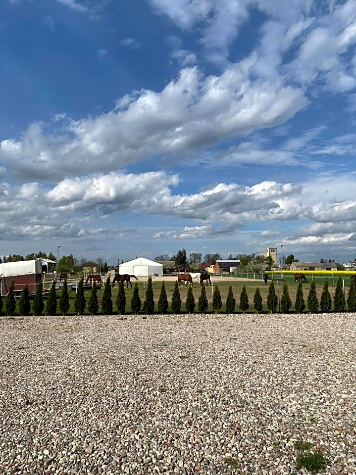 Stajnia Bocianie Gniazdo