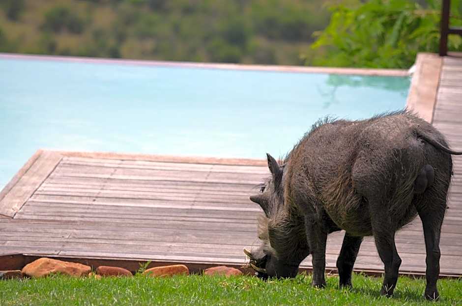 Umzolozolo Private Safari Lodge & Spa