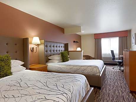 Queen Room with Two Queen Beds - Roll in Shower - Non Smoking