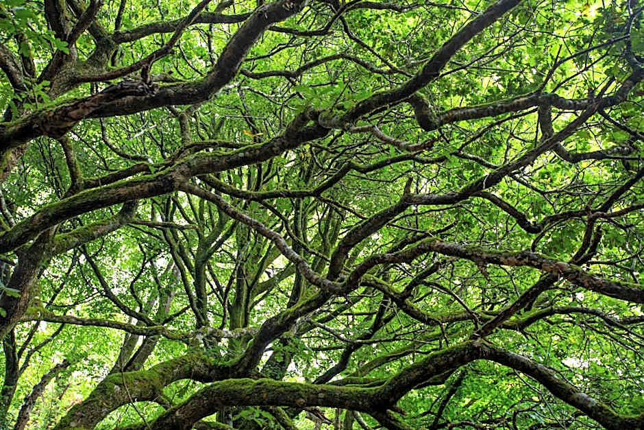 Holifield Farm Hostel & Community Project