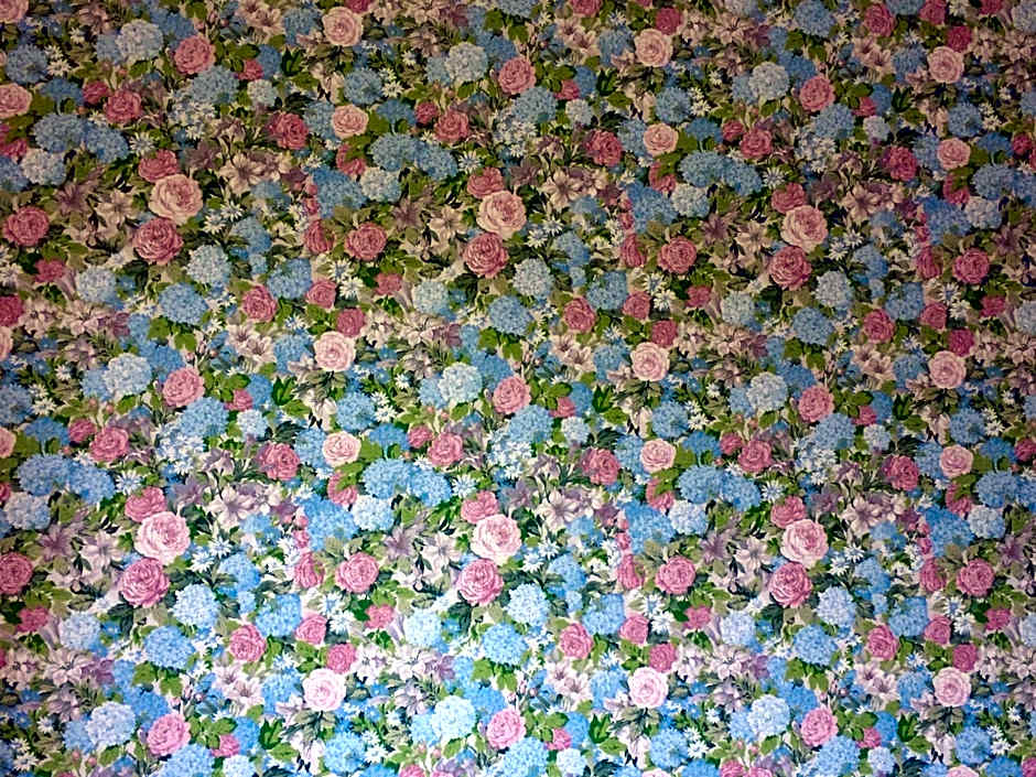 Villa Cesarina, Vallio Terme , Salo’