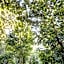 Alaya Verde Bed & Breakfast