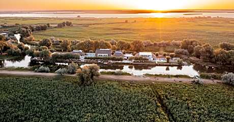 WPO - WILD PIKE OASIS