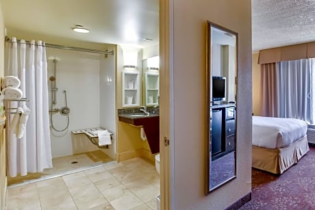 Holiday Inn Indianapolis North-Carmel