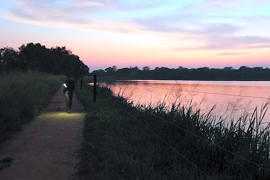 Big Game Yala - by Eco Team