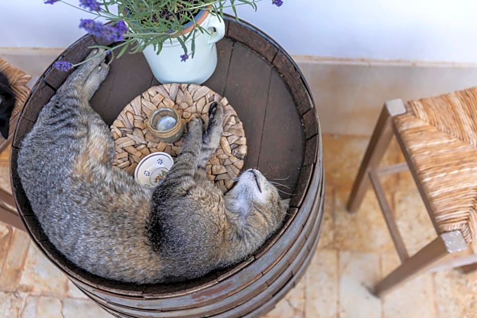 B&B Villa Mamma Grazia