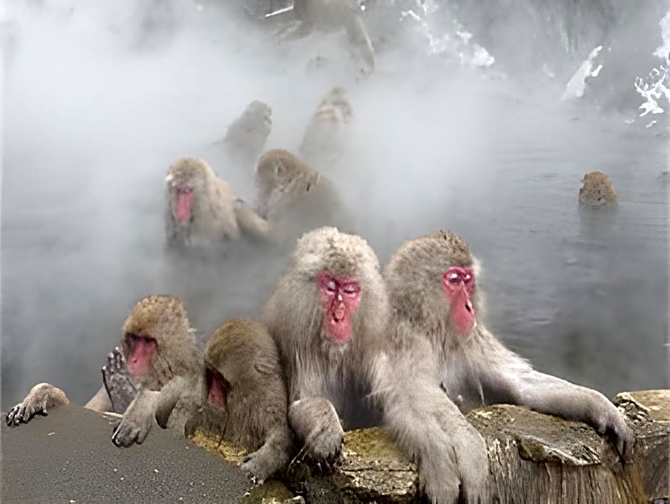 K's House Hakuba Alps - Backpackers Hostel