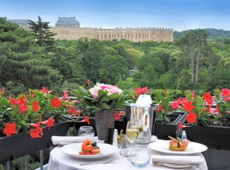 PALACE 5 STAR-KING TERRASSE CASTLE VIEW SUITE, STUNNING VIEW OF THE CHATEAU DE VERSAILLES, 110M WITH SEPARATE LIVING ROOM