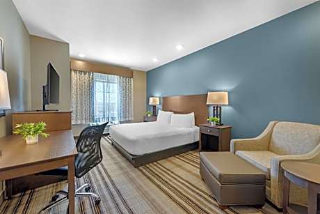 King Suite