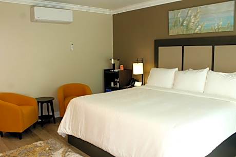King Room - Non-Smoking