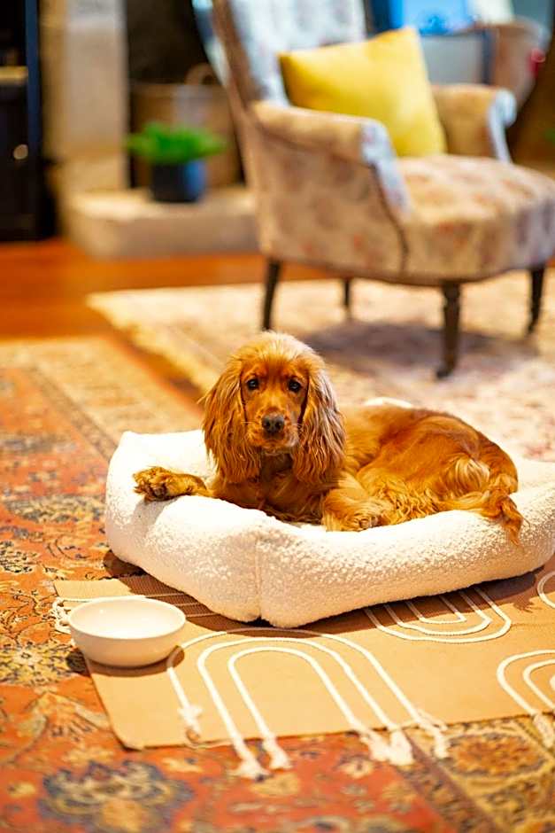 Hôtel & SPA Le Chêne Vert