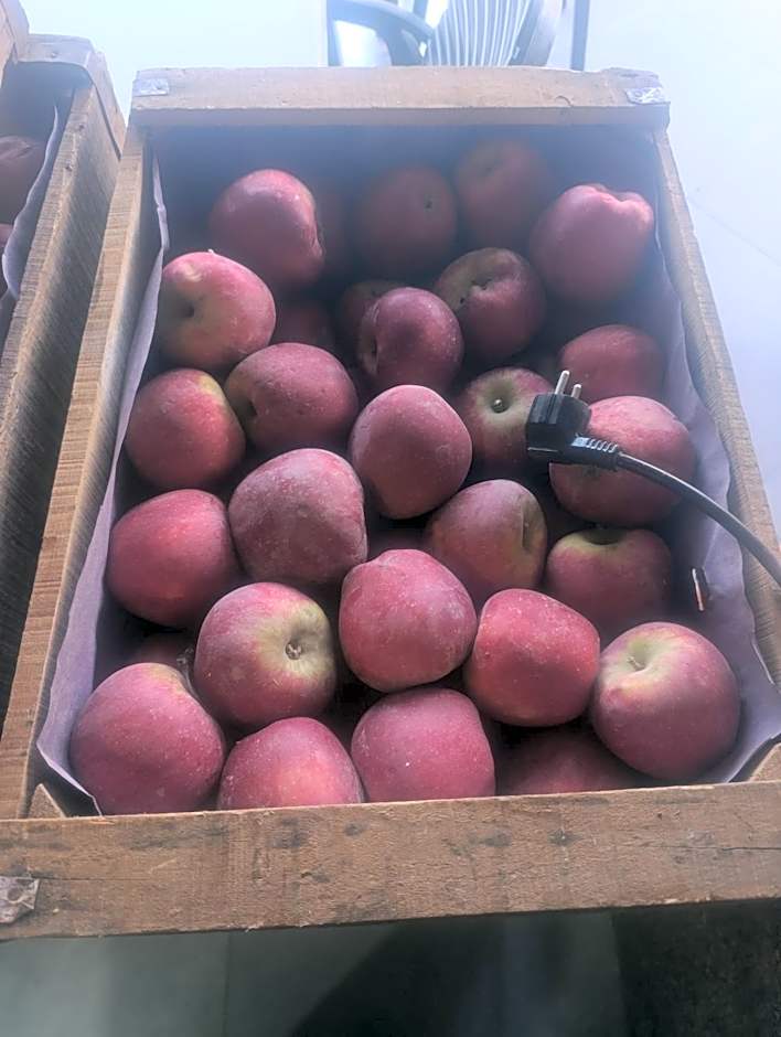 Hotel Restaurant Bougafer