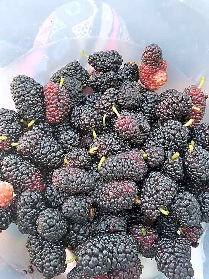 Agriturismo Le Terre di Veneré