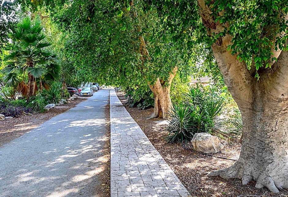 Jordan Valley Birding Lodge