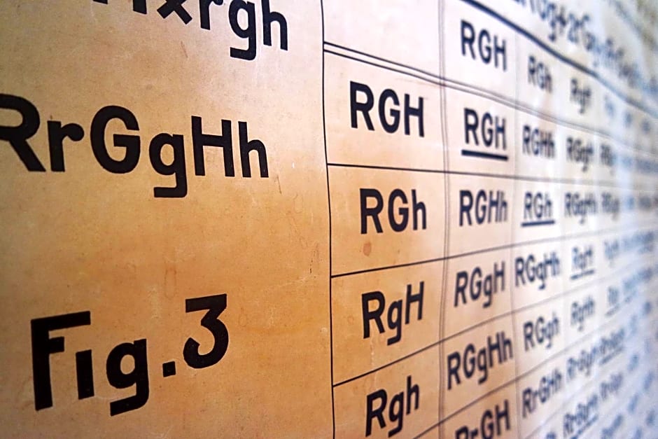 Alberti - Bed & Bike