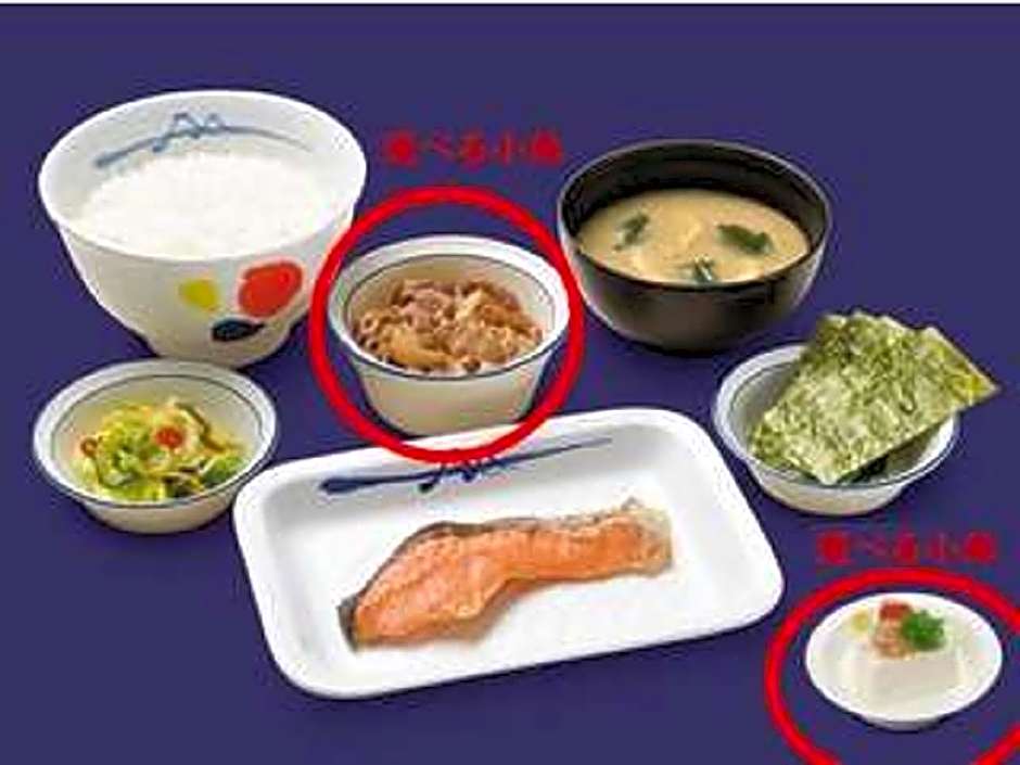 Hotel Livemax BUDGET Sagamihara