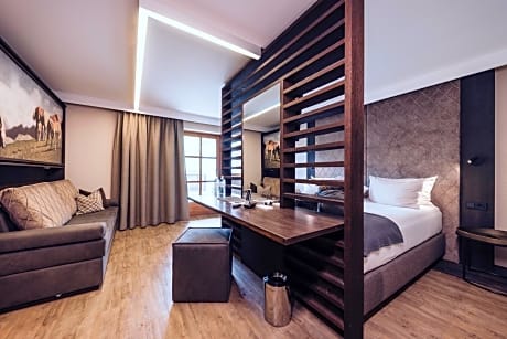 Comfort Double Room with Panorama View