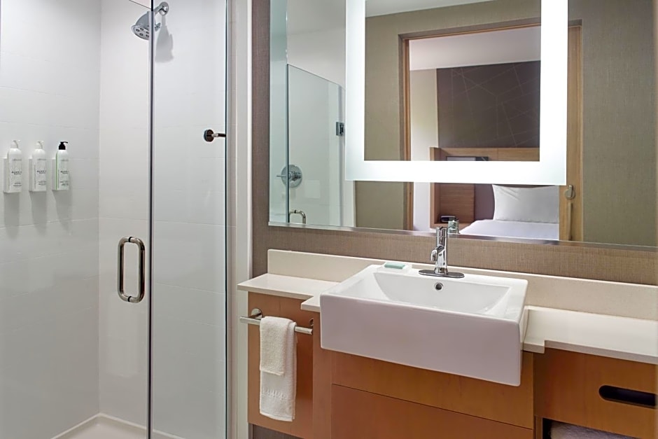 SpringHill Suites by Marriott Atlanta Northwest
