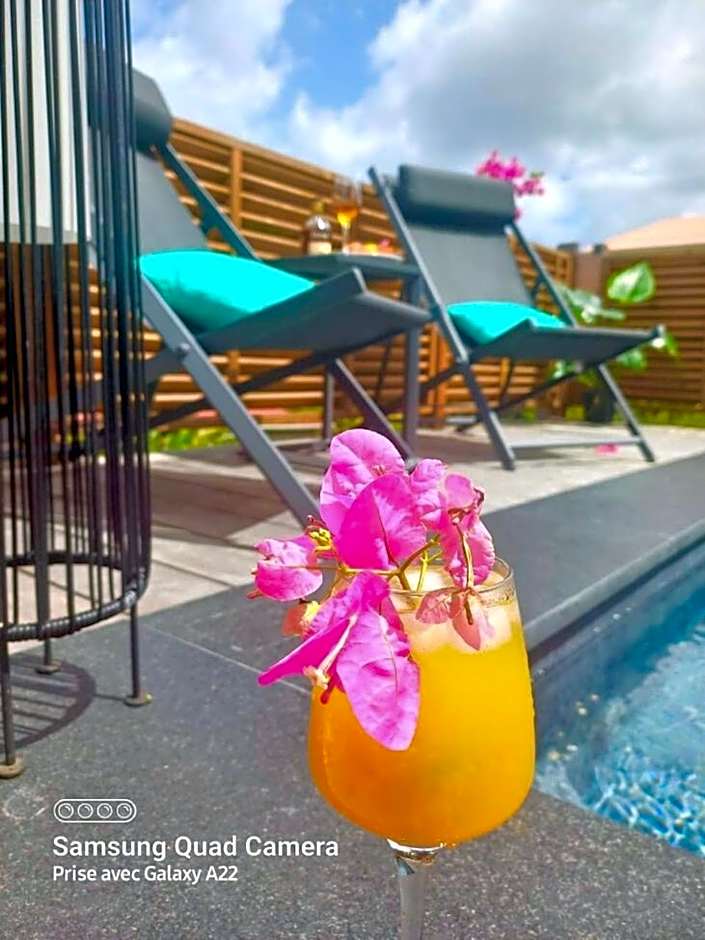 Villa Passion Cannelle de standing avec sa piscine vue mer