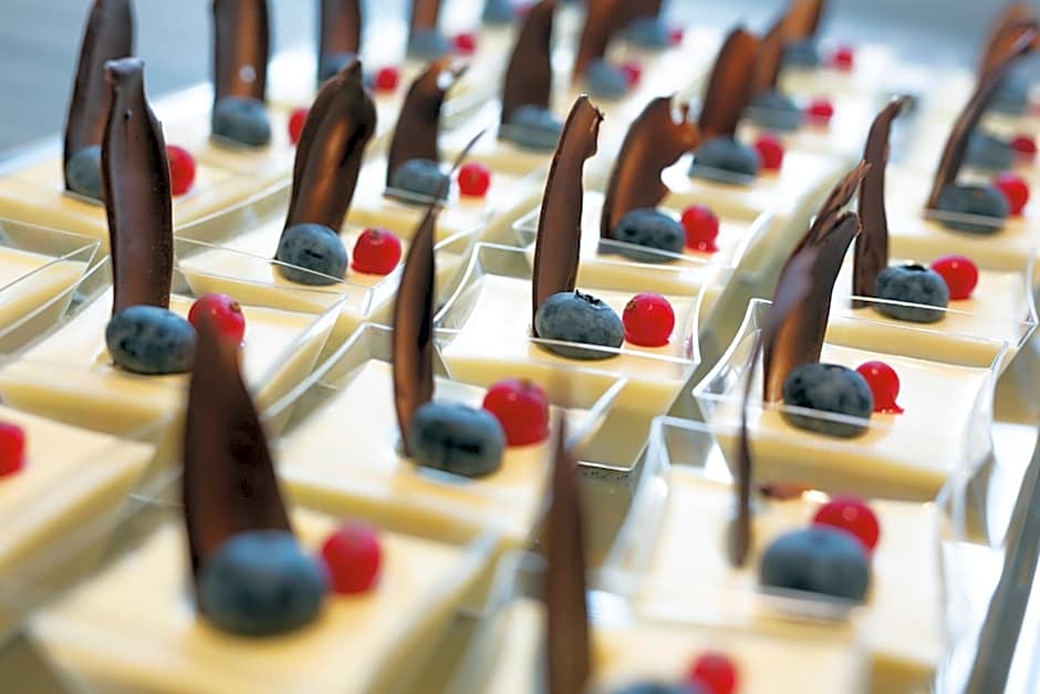 Dolphin Hotel Herning